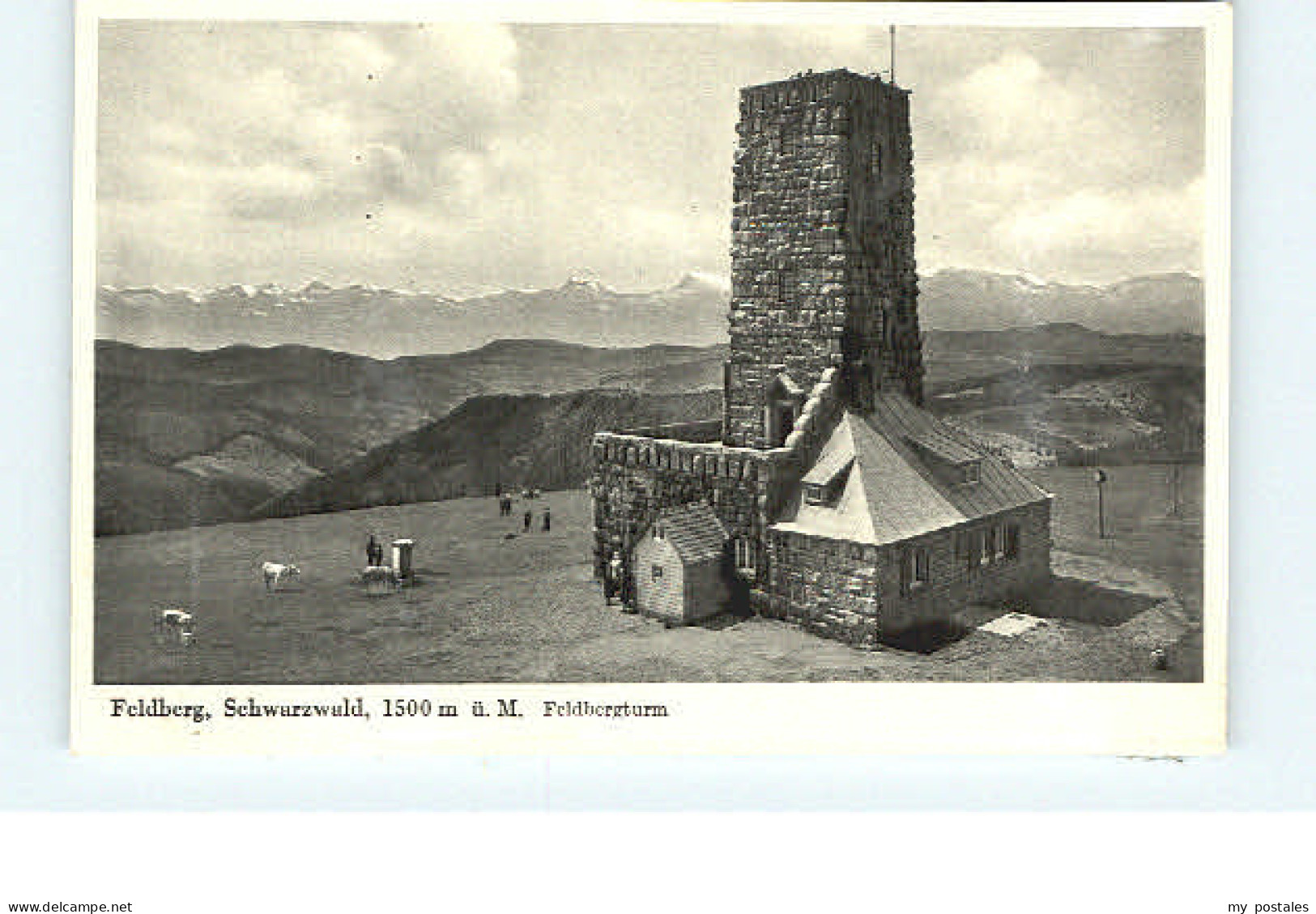 Feldberg Schwarzwald Feldberg