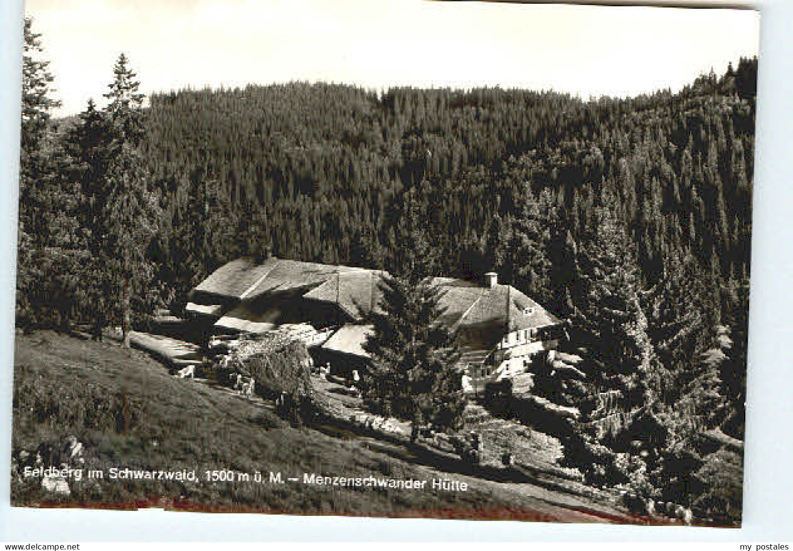 Feldberg Schwarzwald Feldberg