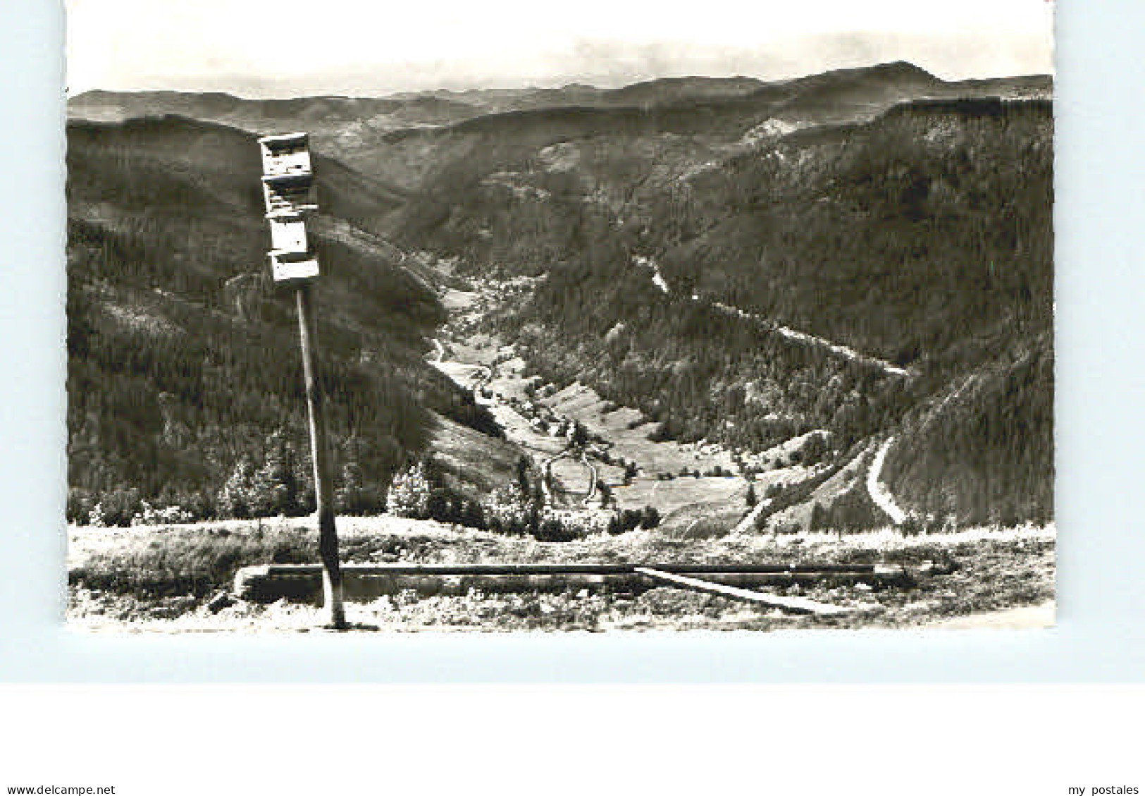 Feldberg Schwarzwald Feldberg  Fahl Brandenburg