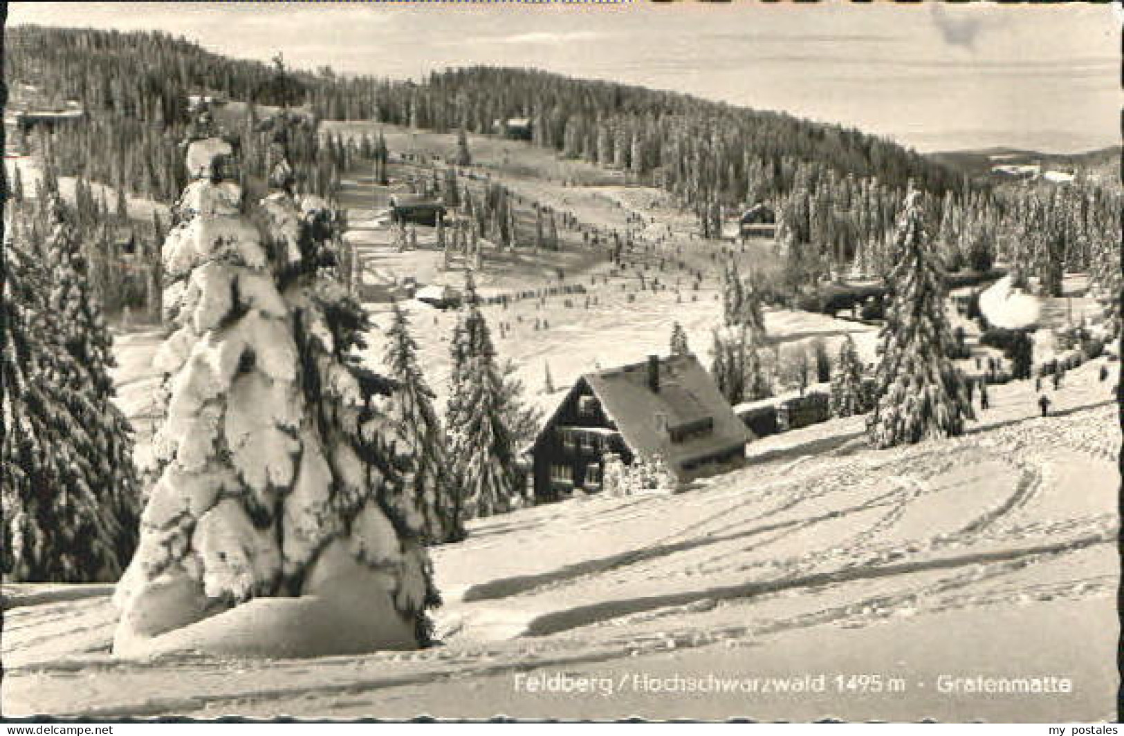 Feldberg Schwarzwald Feldberg Grafenmatte x 1965