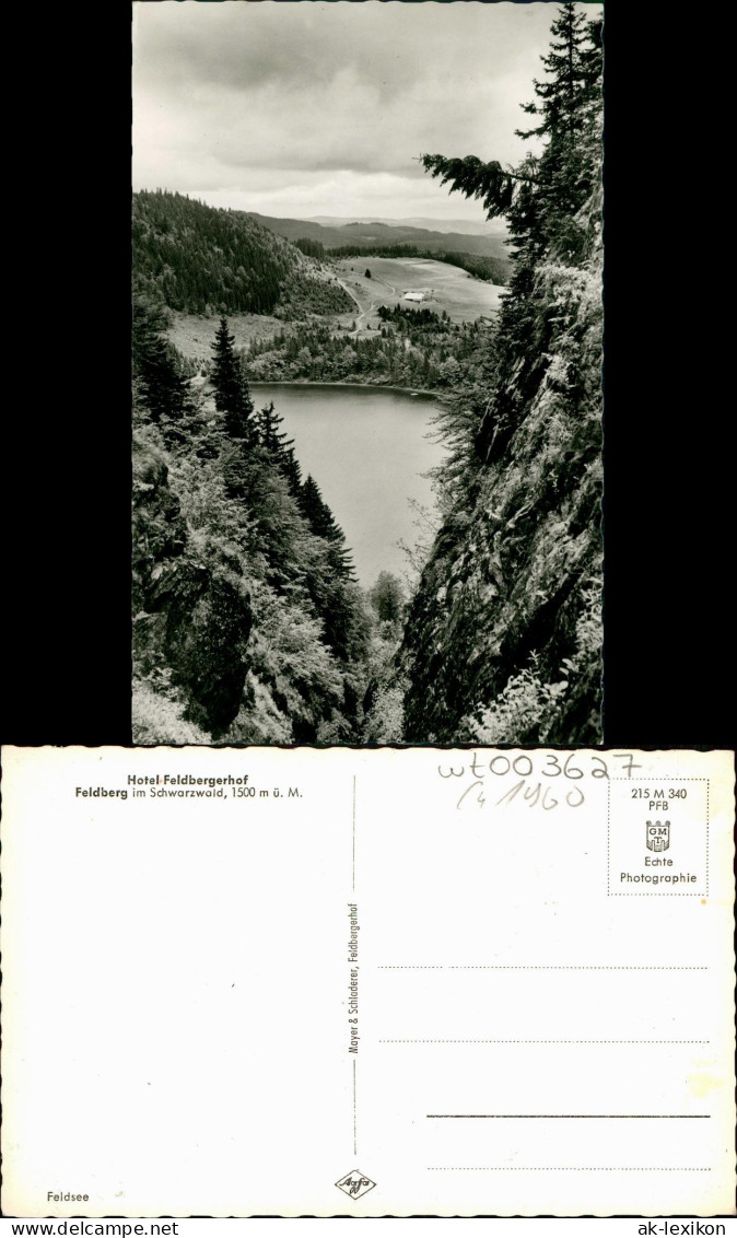 Feldberg (Schwarzwald) Hotel Feldbergerho Feldberg - Fotokarte 1962