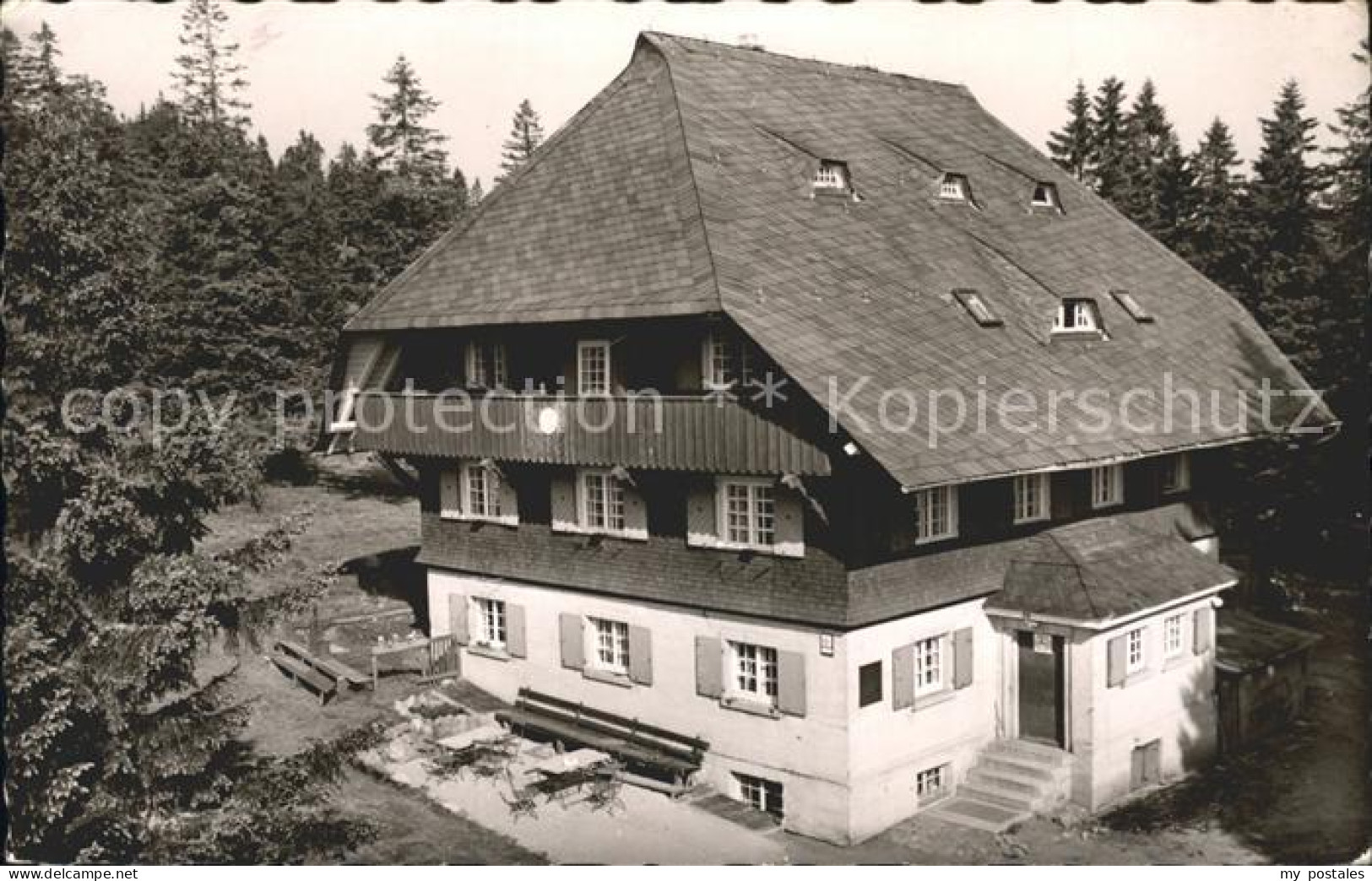 Feldberg Schwarzwald Naturfreundehaus Feldberg am Baldenweger Buck