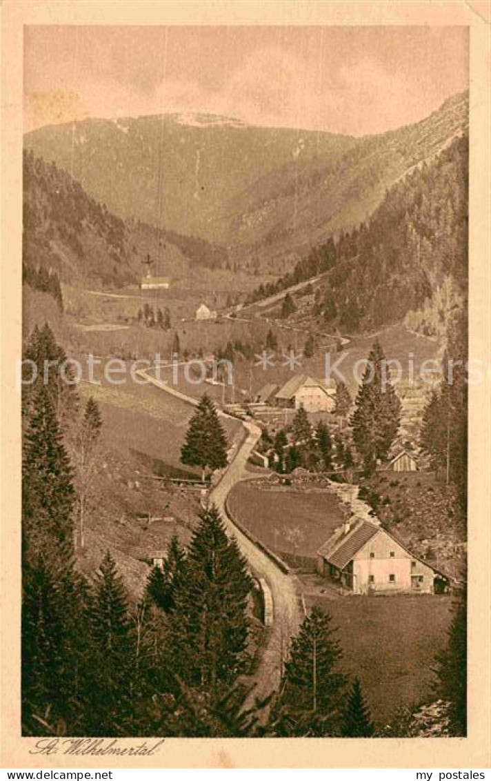 Feldberg Schwarzwald St Wilhelmertal mit Blick zum Feldberg Kupferdruck