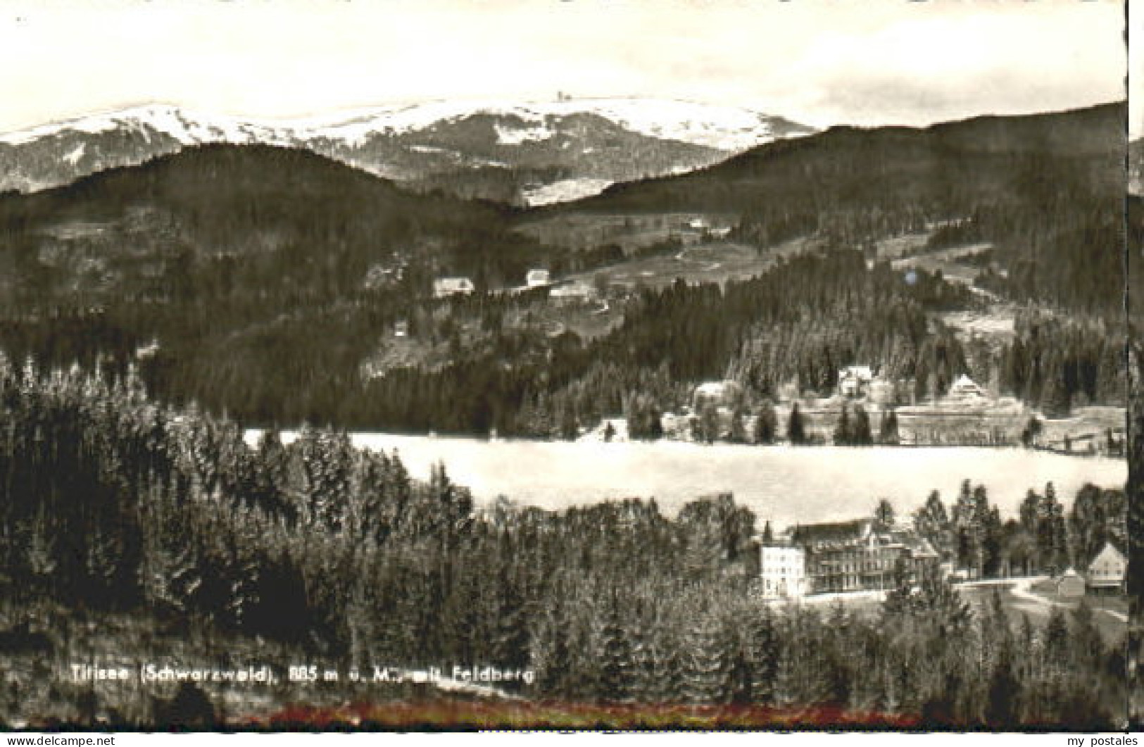 Feldberg Schwarzwald Titisee Feldberg  x 1960