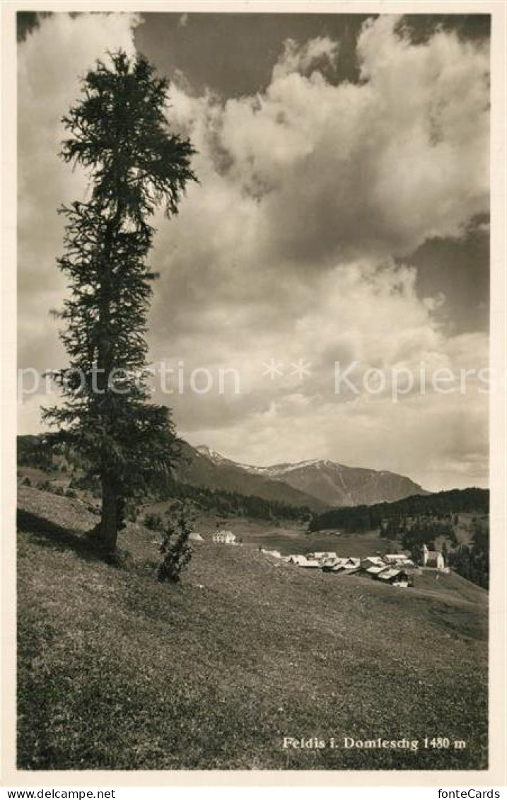 Feldis GR Domleschg
