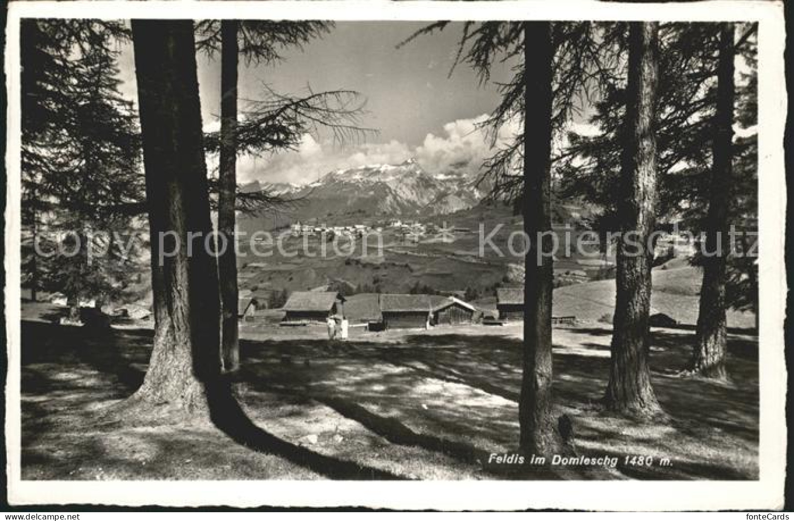 Feldis GR Domleschg