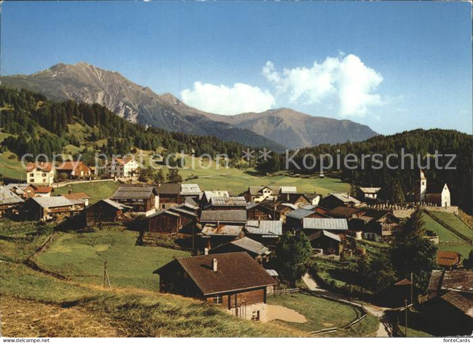 Feldis GR Sonnenterrasse im Domleschg