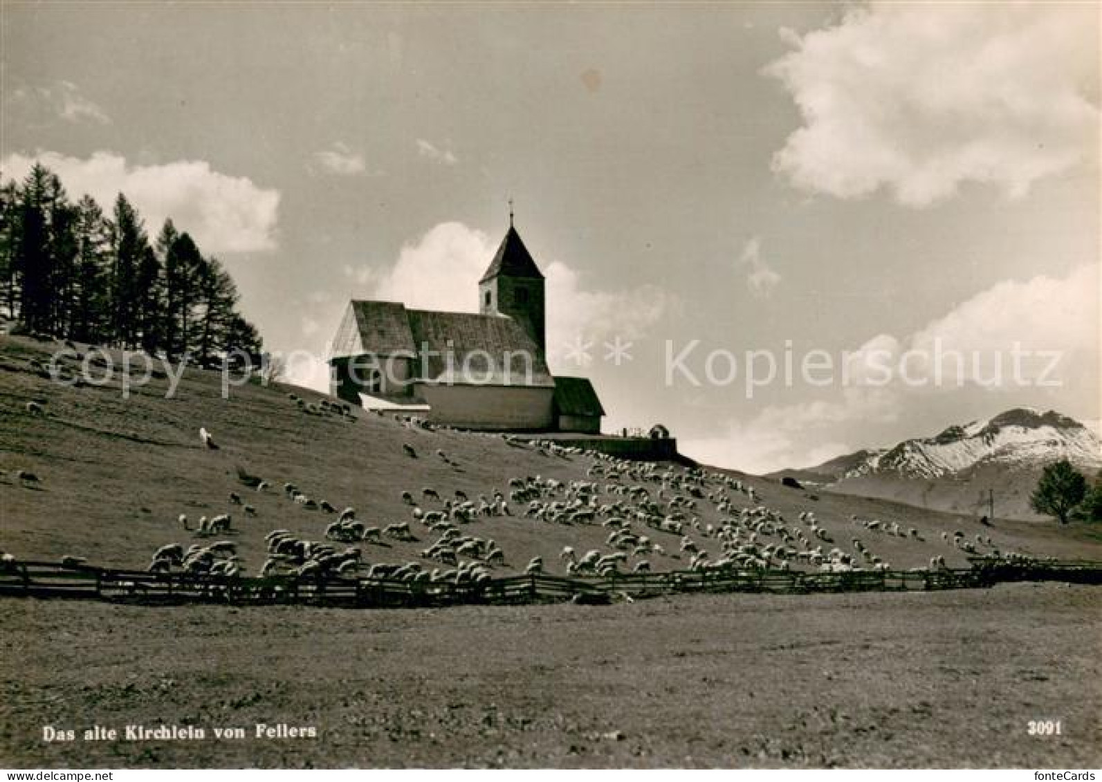 Fellers Falera GR Alte Kirche Schafherde Alpen