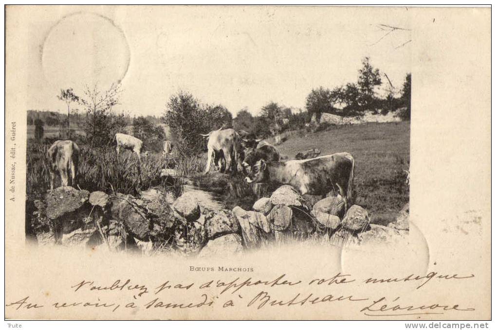 FELLETIN ET ENVIRONS BOEUFS MARCHOIS PRECURSEUR