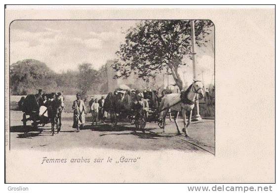 FEMMES ARABES SUR LE CARRO EGYPTE BELLE ANIMATION