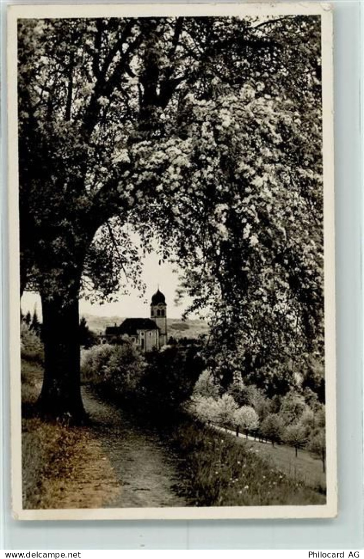 Feusisberg - 10216504