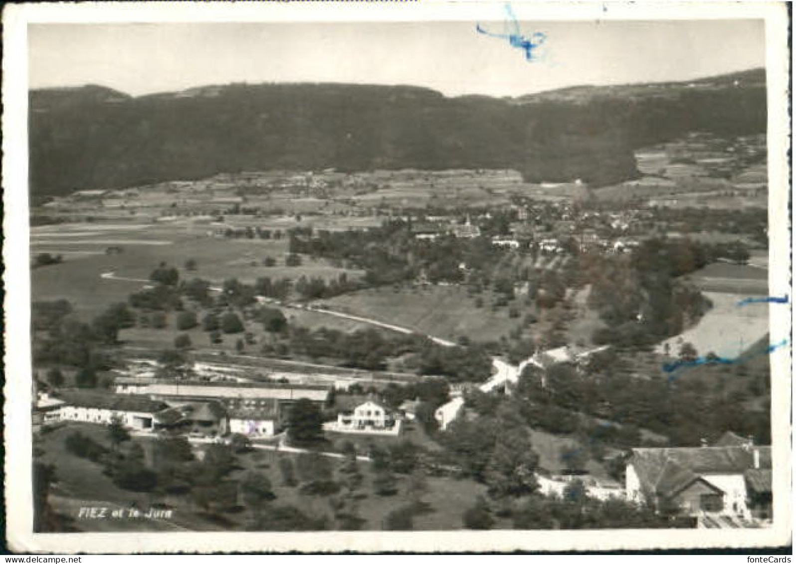 Fiez  x 1952