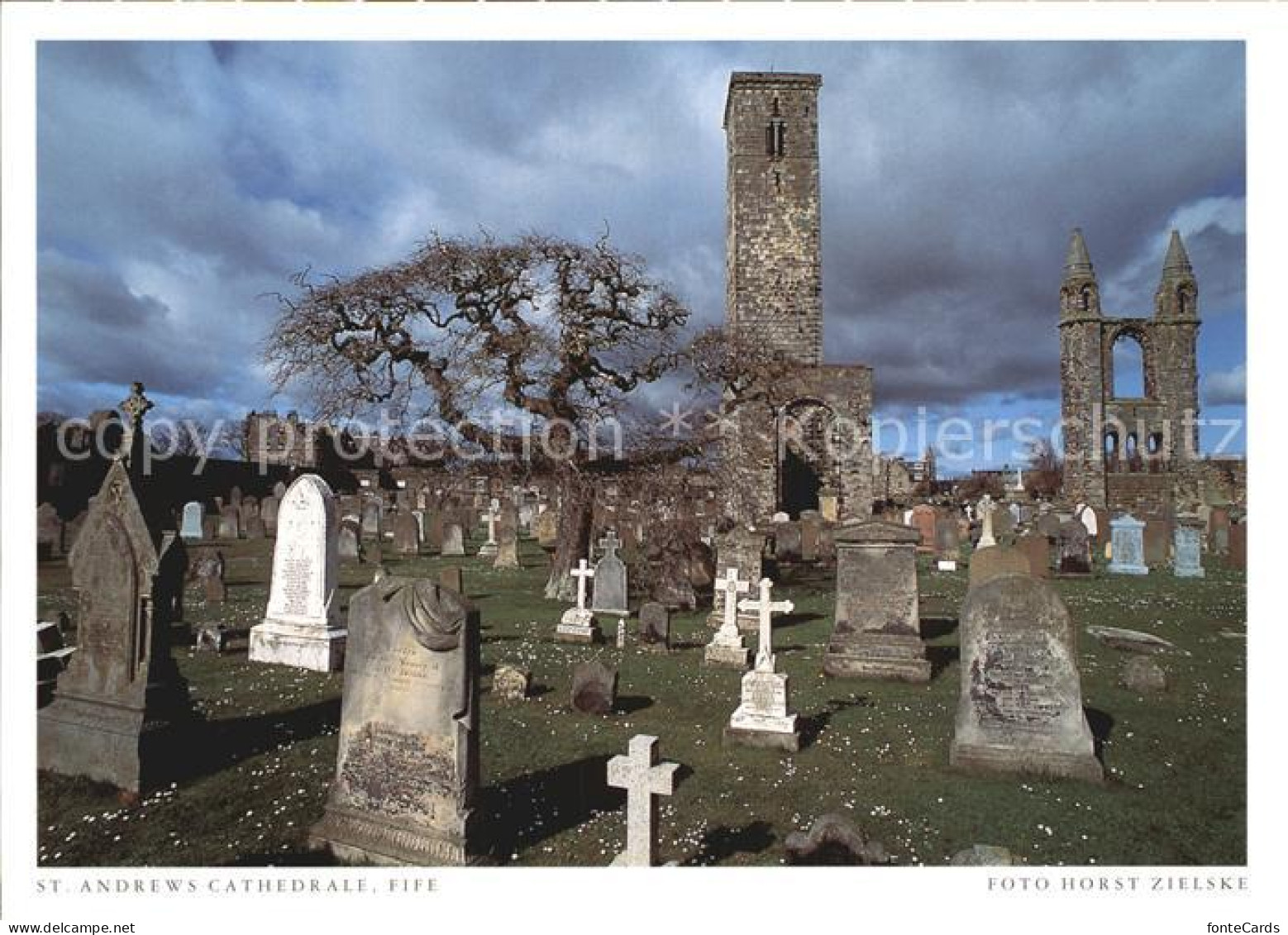Fife Fife St-. Anderws Cathedrale Friedhof