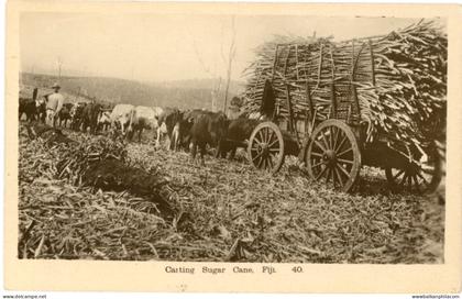 Fiji Carting Sugar Cane