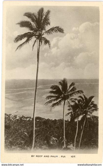 Fiji Reef and Palm Trees ed Caine Series Suva