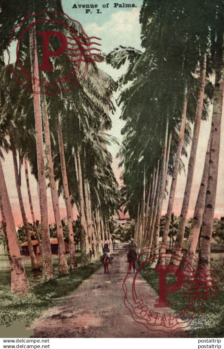 FILIPINAS. PHILIPPINES.  AVENUE OF PALMS.