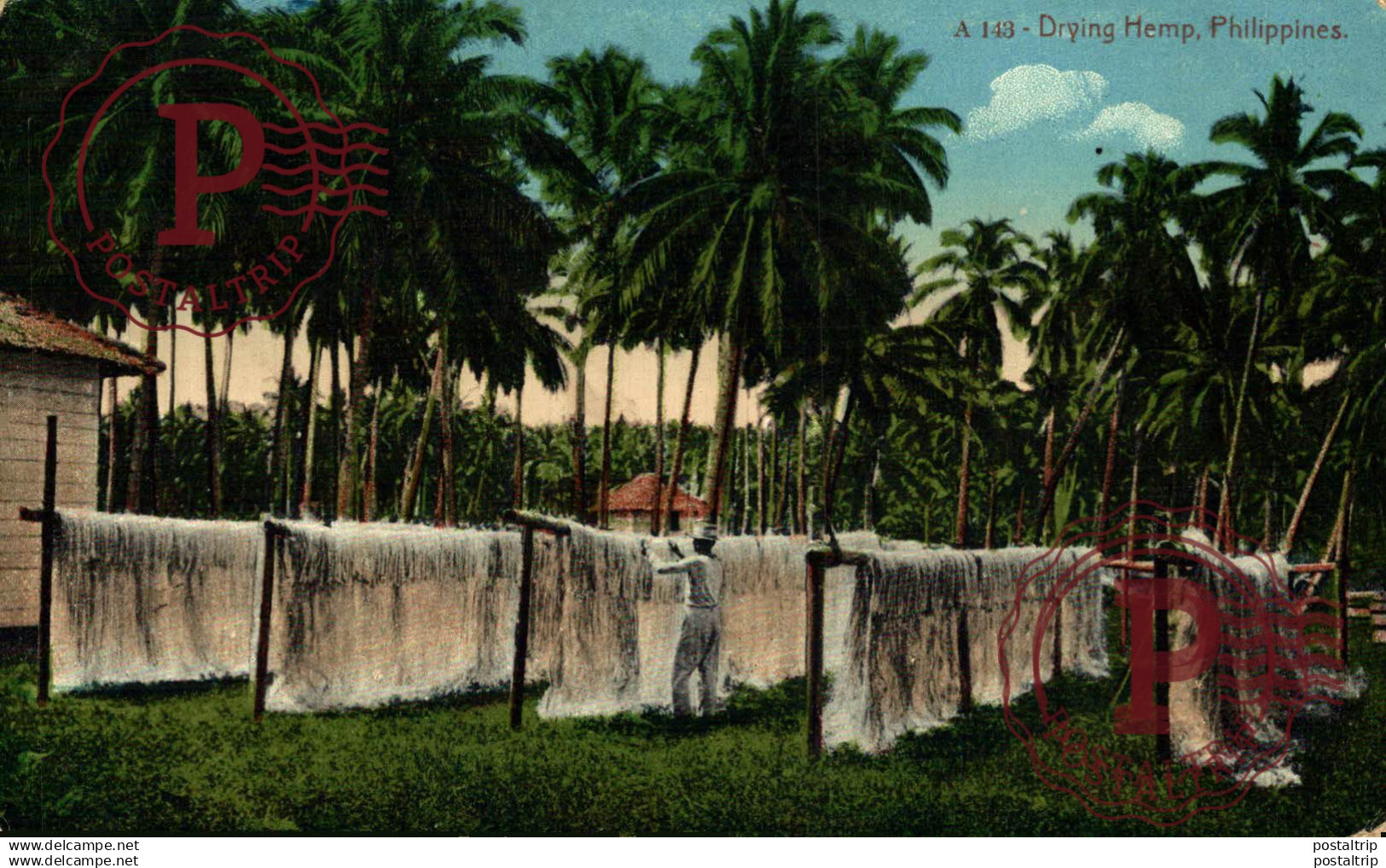 FILIPINAS. PHILIPPINES. DRYING HEMP