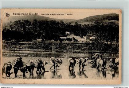 39582779 - Philippijnsche Eilanden Igorotsche vrouwen rijst aan t planten Reis Arbeiter