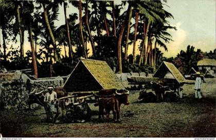 CPA Pampanga Philippinen, Ochsenkarren, Philippinen, Palmen, ländliche Szene