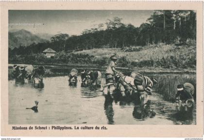Missions de Scheut - Philippines - La culture du riz