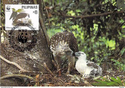 Philippine Eagle Philippinen Adler Birds oiseaux WWF 1991 PILIPINAS  carte maximum