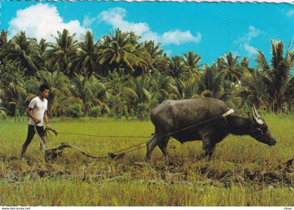 PHILIPPINES