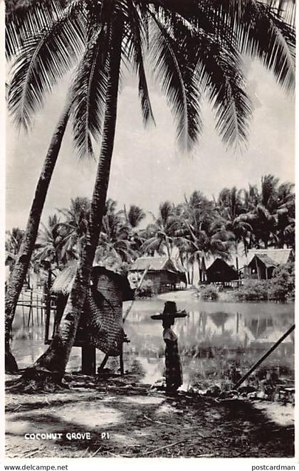 Philippines - Coconut grove - REAL PHOTO
