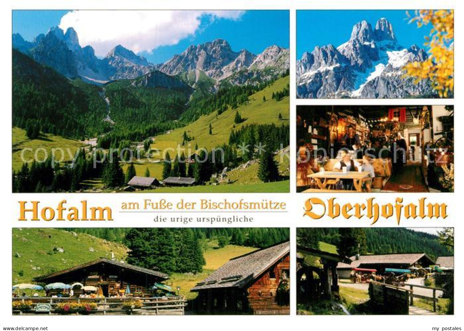 Filzmoos Oberhofalm Bischofsmuetze
