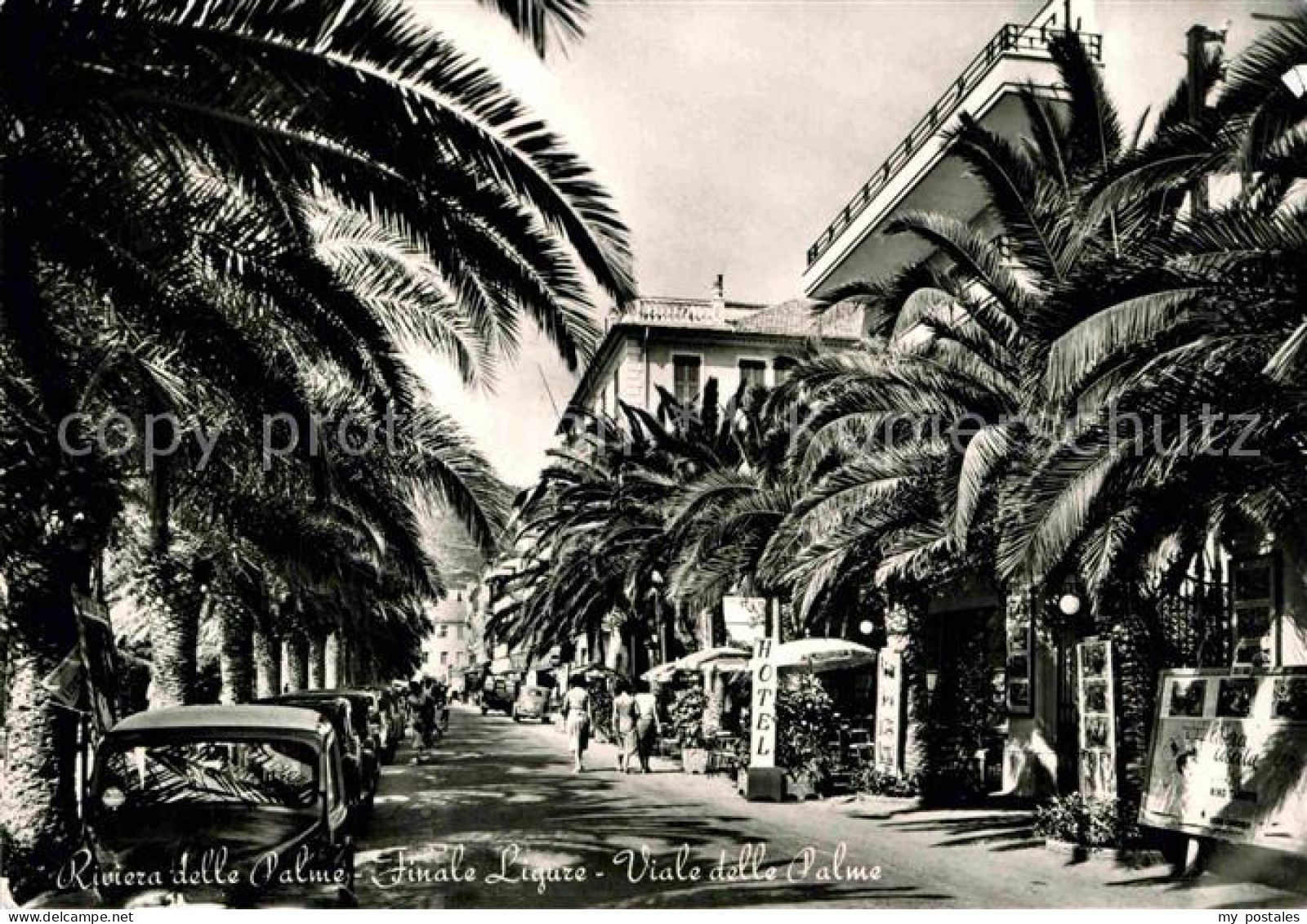 Finale Ligure Viale delle Palme Riviera delle Palme