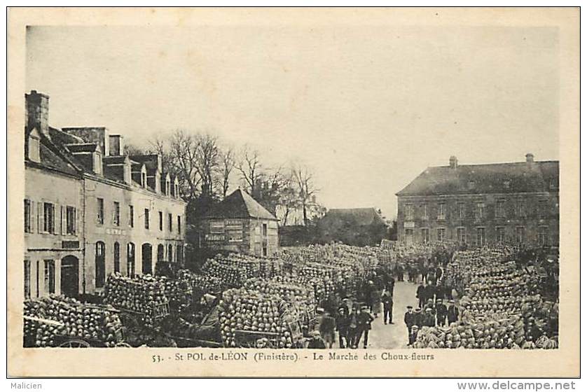 - finistere - ref D645 - saint pol de leon - st pol de leon - le marche des choux fleurs - carte bon etat -