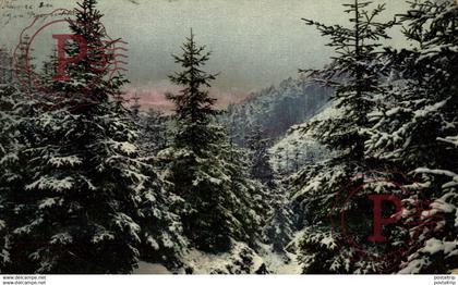 Tampere  FINLANDE FINLAND FINLANDIA