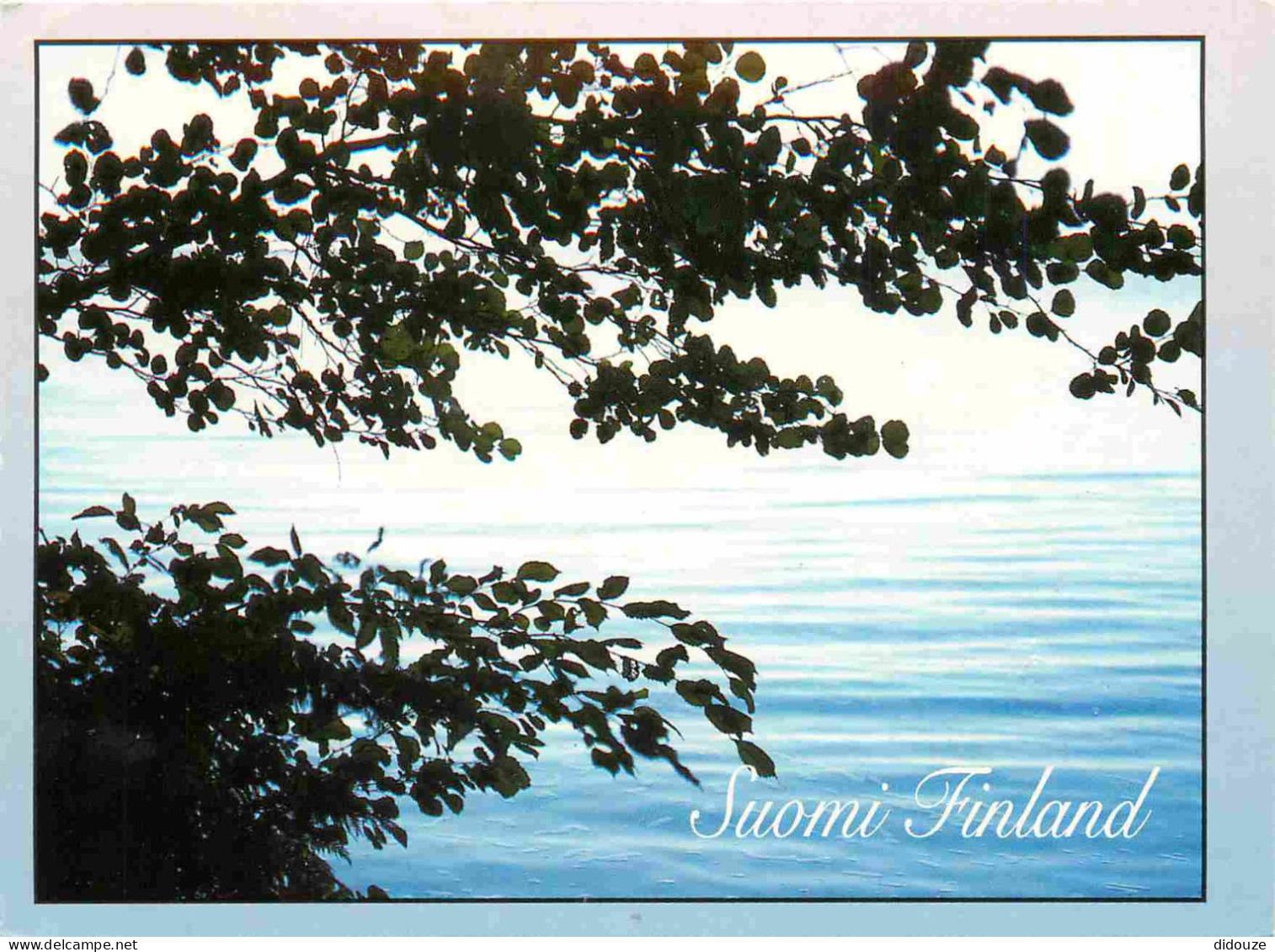 Finlande - Suomi - Lac - CPM - Voir Scans Recto-Verso