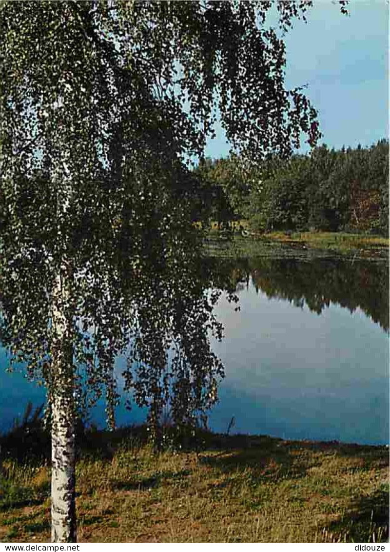 Finlande - Suomi - Lac - CPM - Voir Scans Recto-Verso