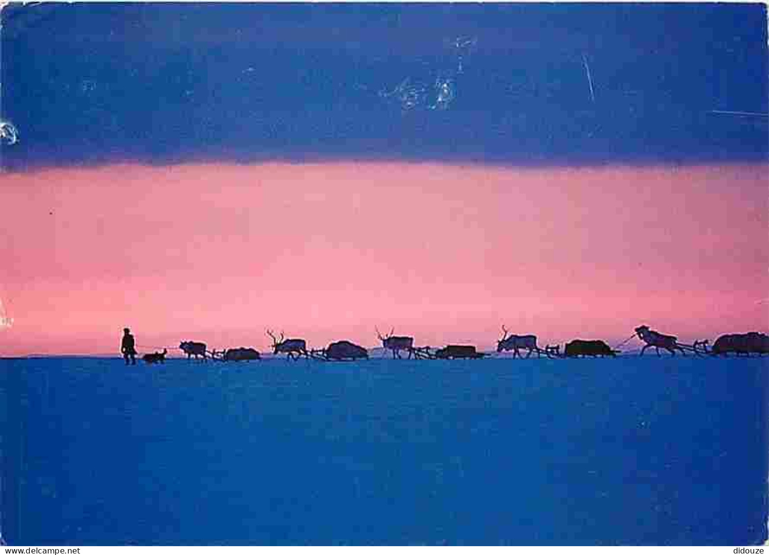 Finlande - Suomi - Rennes - Traineaux - CPM - Voir Scans Recto-Verso