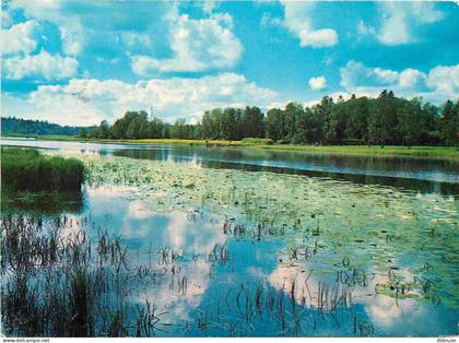 Carte Postale - Finlande - CPM - Voir Scans Recto-Verso