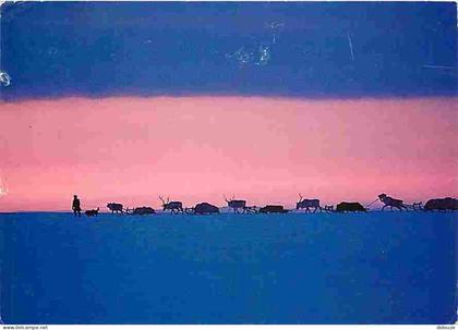 Finlande - Suomi - Rennes - Traineaux - CPM - Voir Scans Recto-Verso