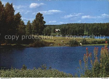 Finnland Suomi See Sommerhaus Panorama