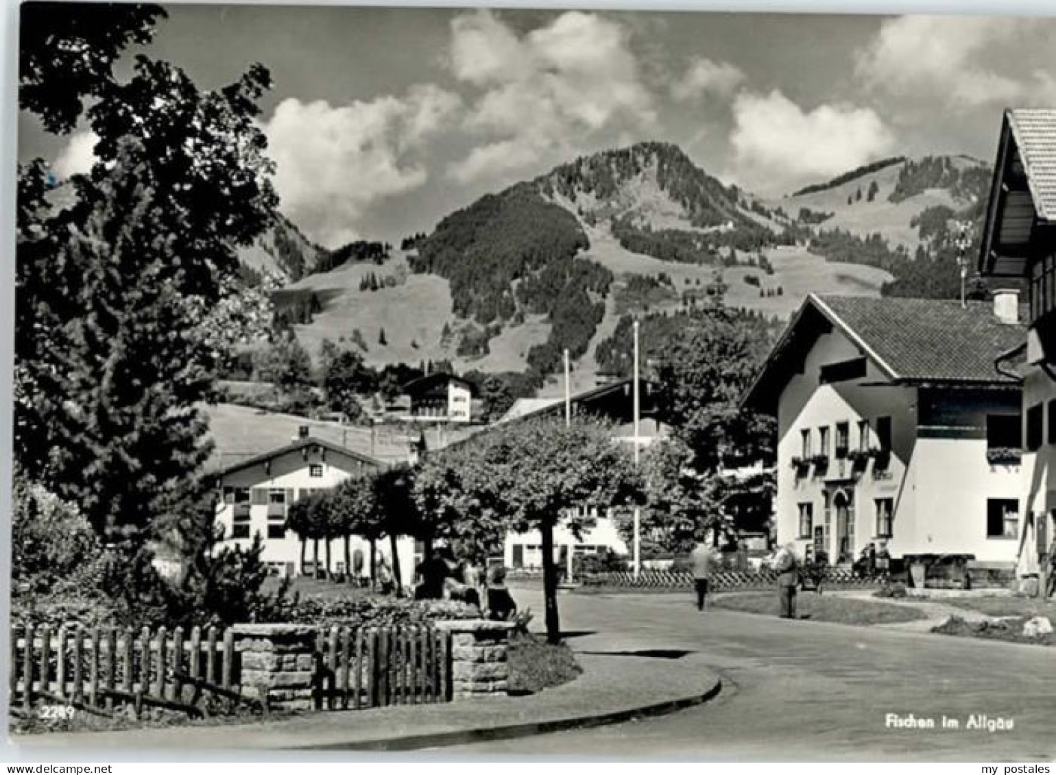 Fischen Allgaeu