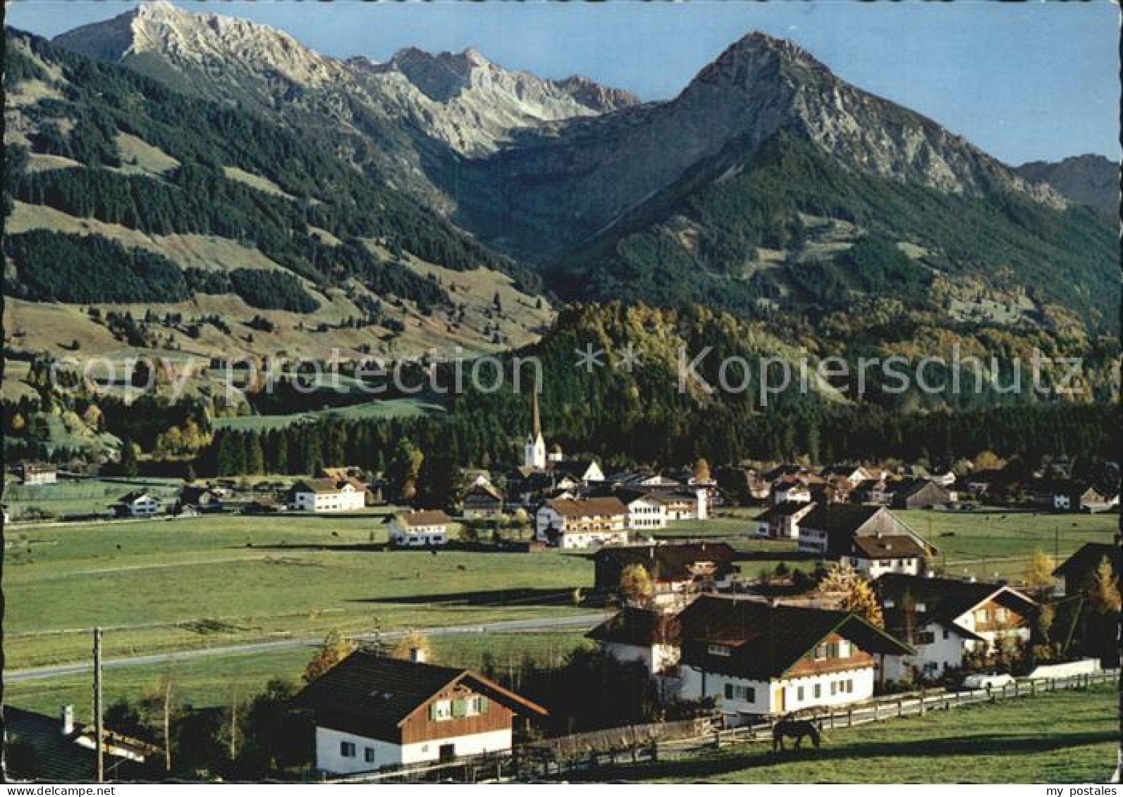 Fischen Allgaeu