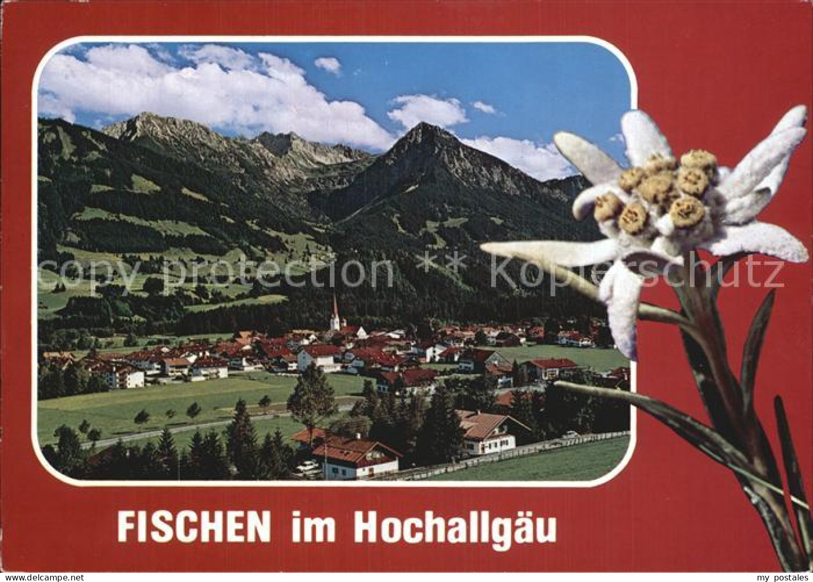 Fischen Allgaeu