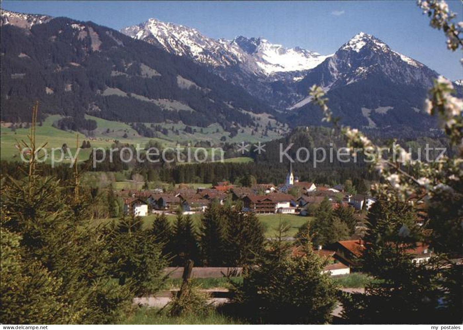 Fischen Allgaeu