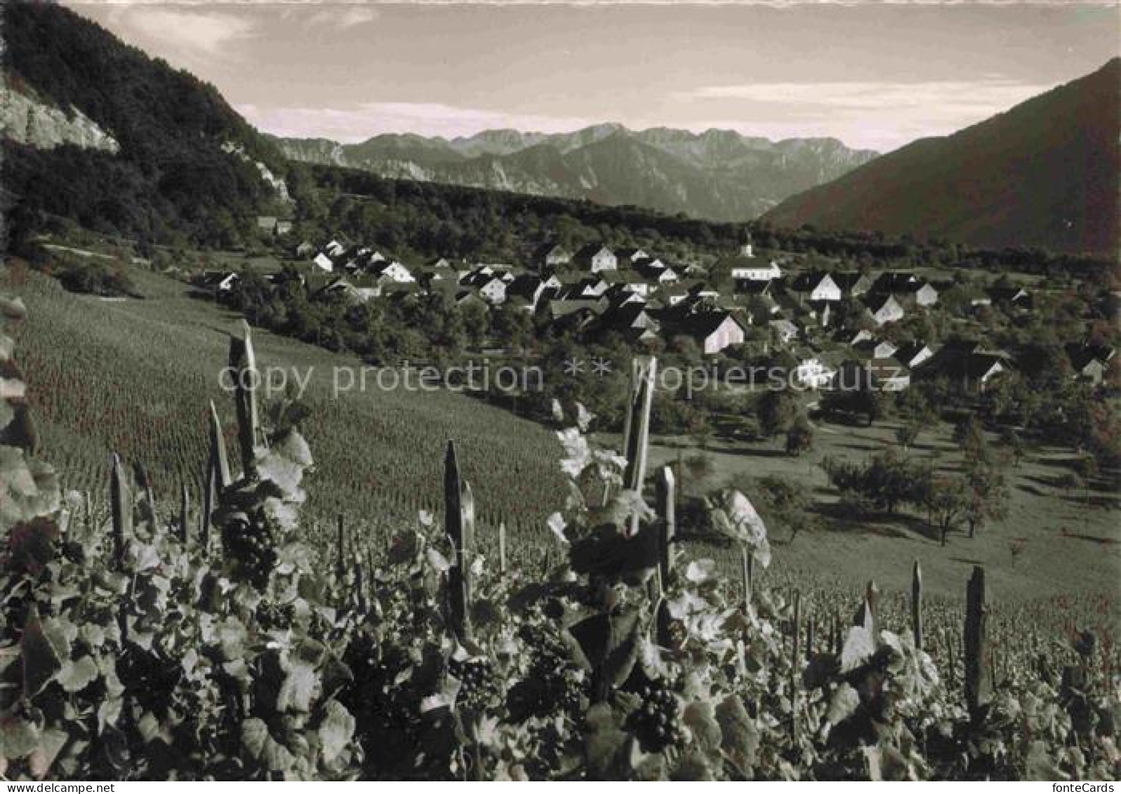 Flaesch Landquart GR Panorama