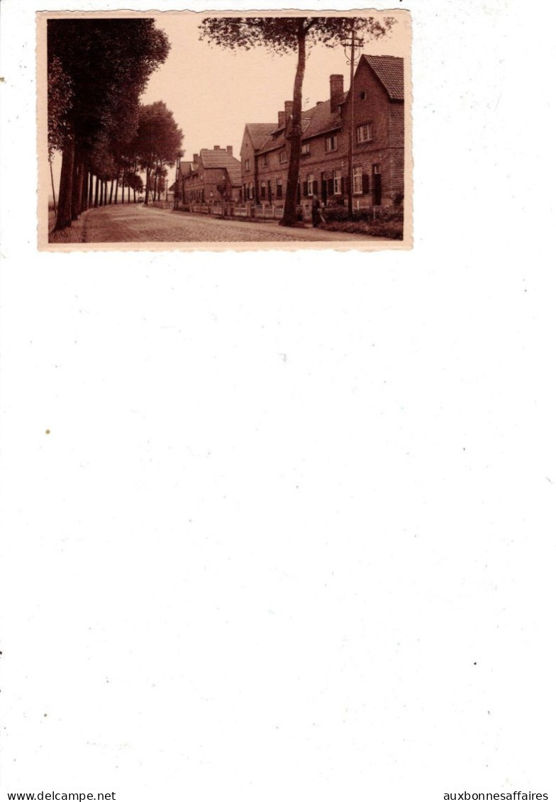 FLANDRES OCCIDENTALE / HELCHIN  CITE ST-JEAN      / B793