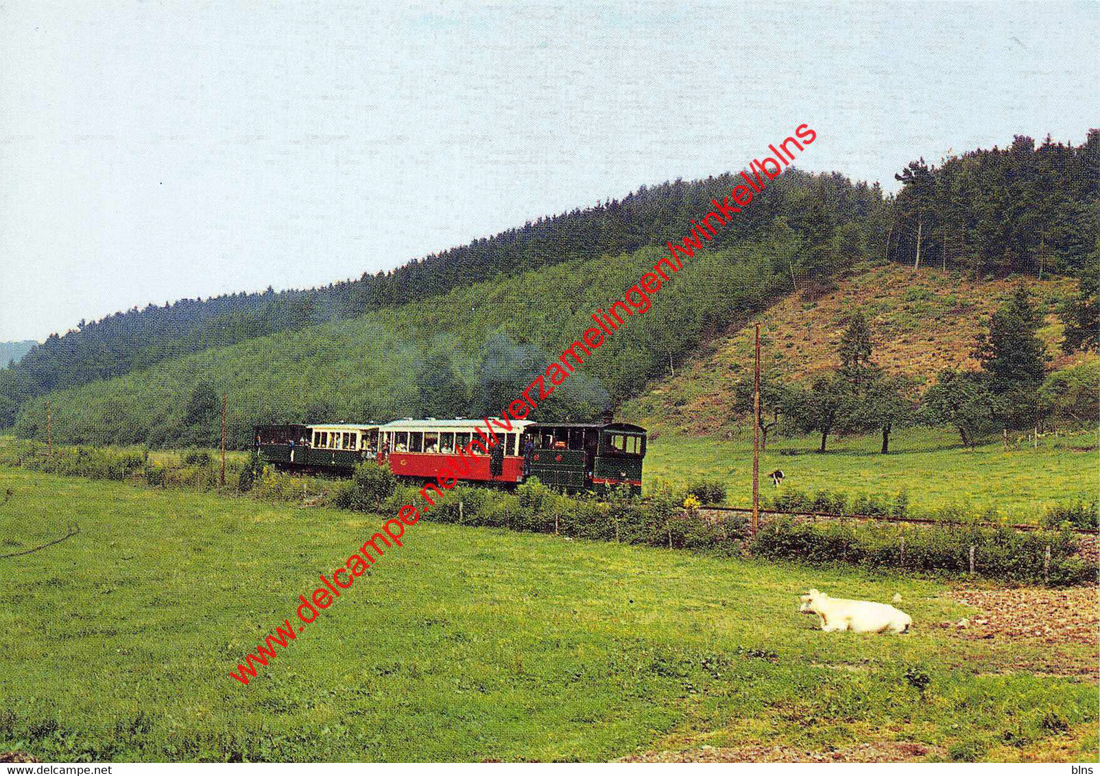 Flânerie dans les prés de Blier - Erezée