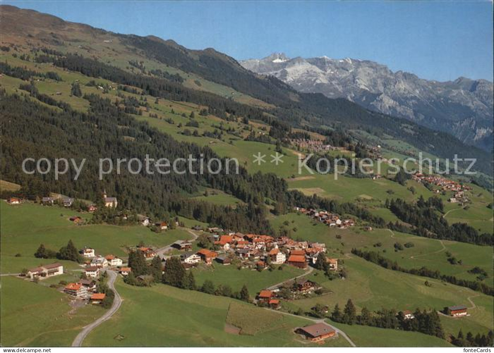 Flerden Portein Sarn Ringelspitze