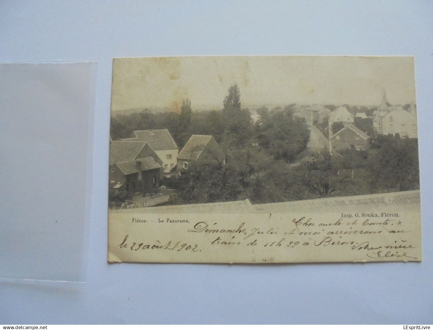 FLERON Le Panorama Carte Postale Précurseur Postcard CP AK PK