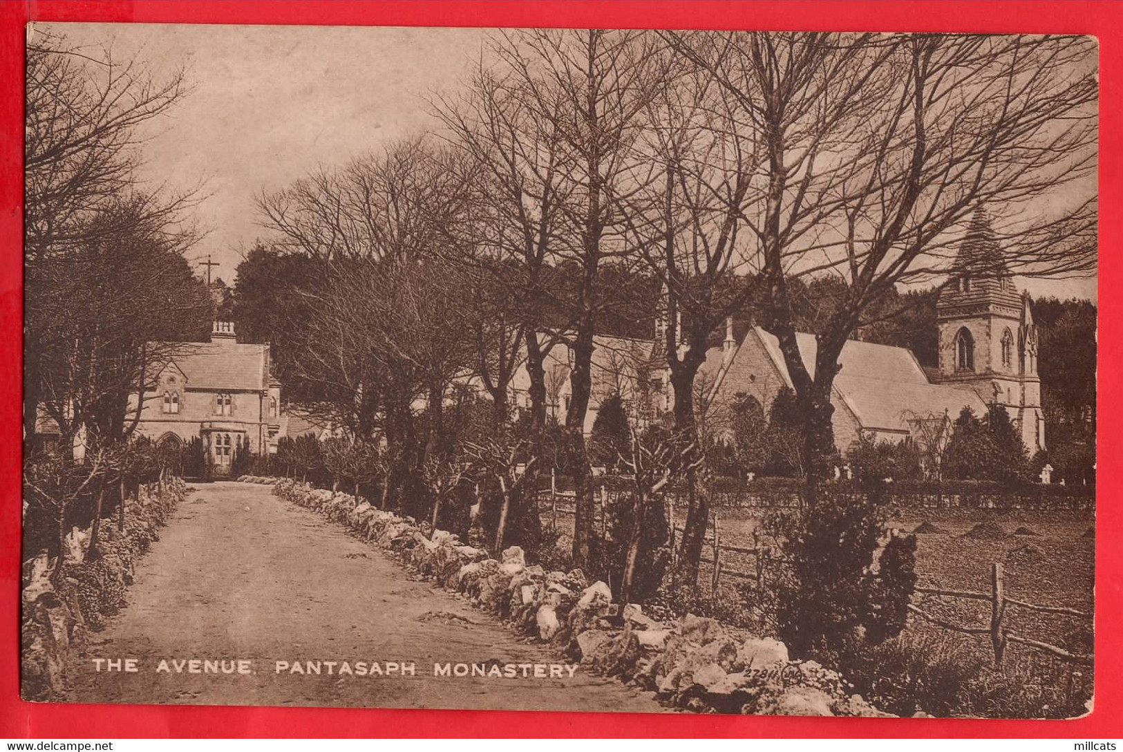 FLINTSHIRE HOLYWELL   PANTASAPH  MONASTERY  THE AVENUE