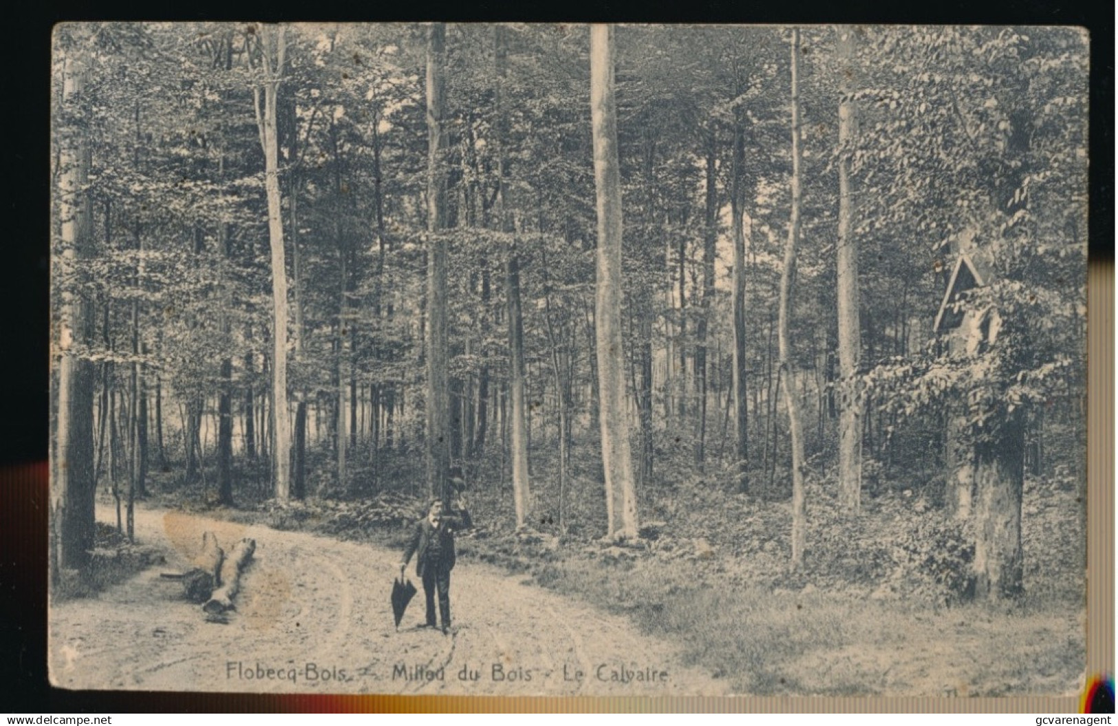 FLOBECQ  BOIS   VLOESBERG     MILIEU DU BOIS  LE CALVAIRE