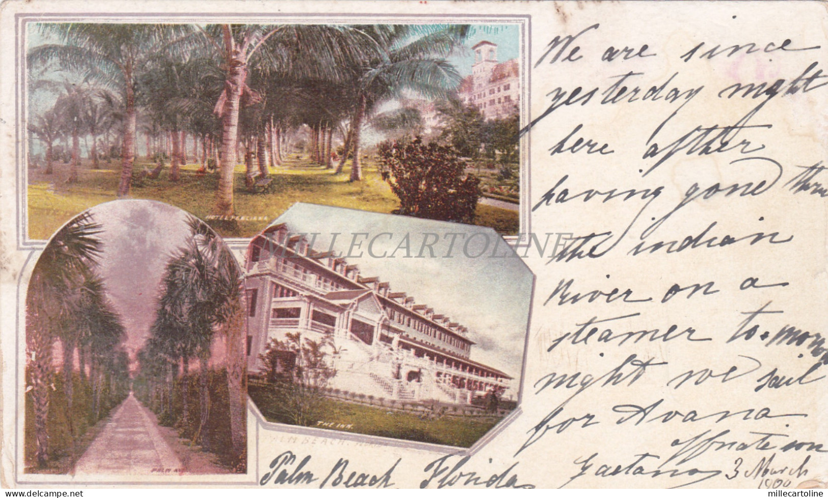 FLORIDA - Palm Beach, Views, Postcard 1900