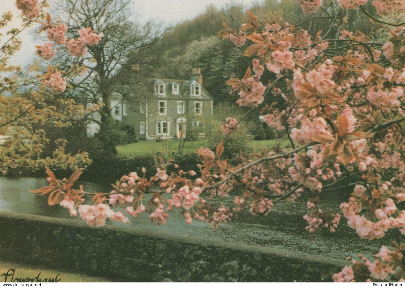 Flowerbank Guest House Minnigaff Scottish Wigtownshire Postcard